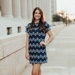 NWT Francesca's Jun & Ivy Blue Floral Eyelet Embroidered Sheath Dress.‎ Size S